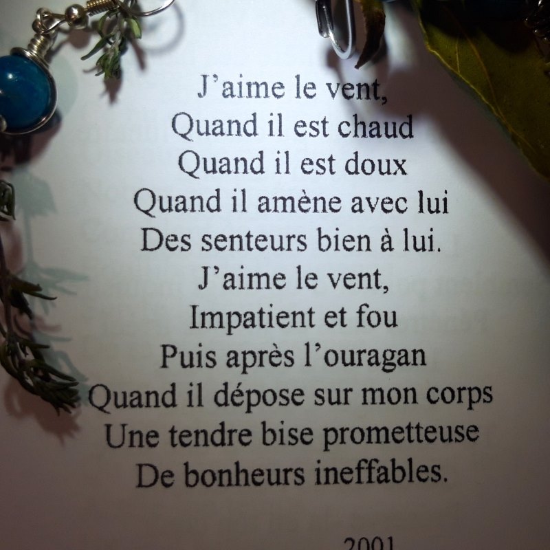 J'aime le vent est un poème extrait du recueil Poésie intemporelle 4 Quête J'aime le vent est un poème extrait du recueil Poésie intemporelle 4 Quête