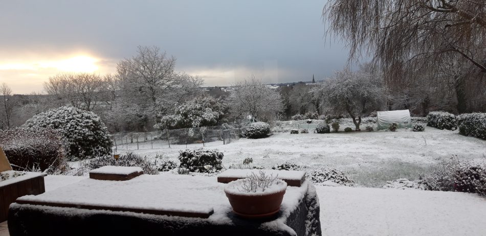 La nature et la neige